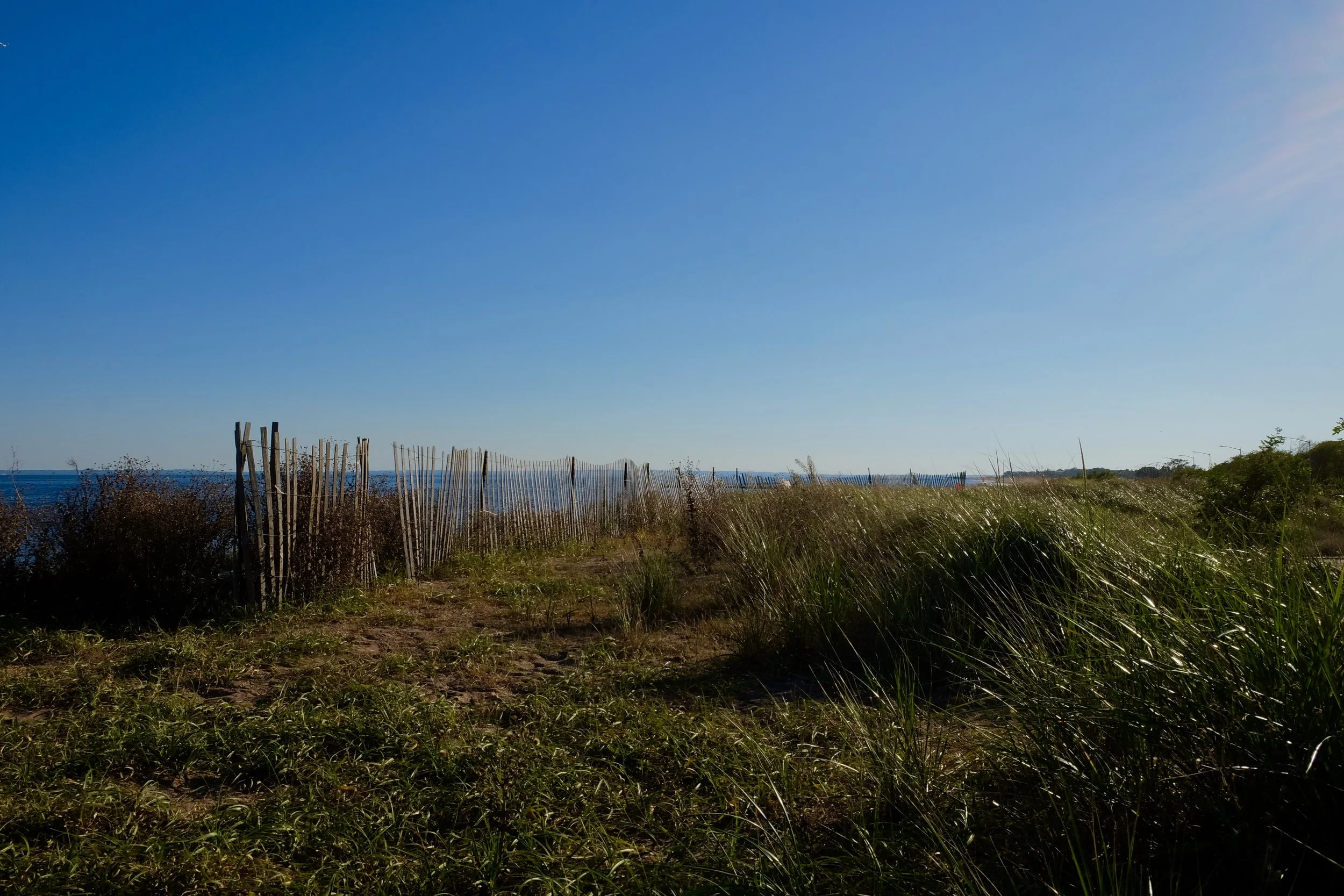Building up the Dunes in Staten Island