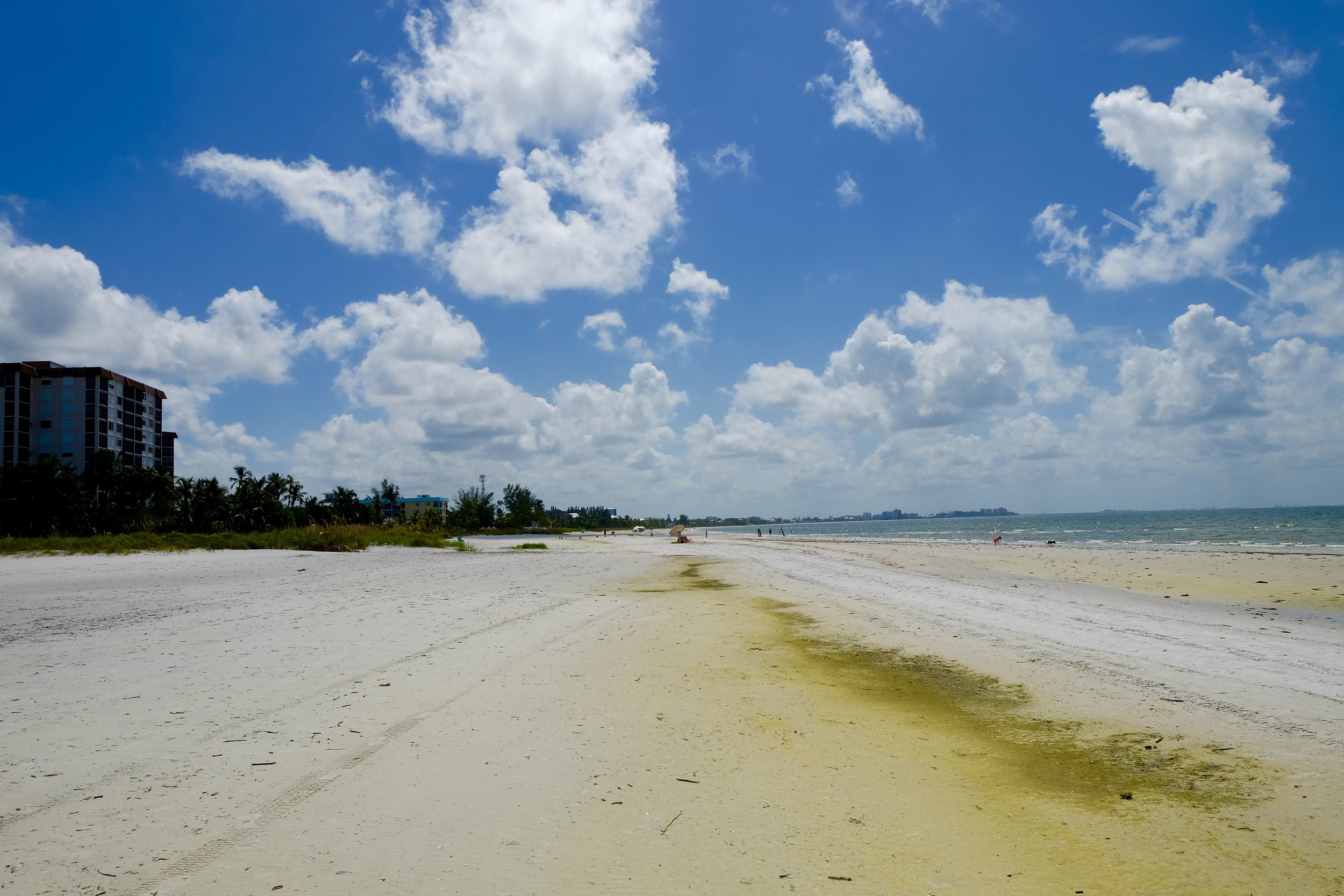 Fort Myers Beach: Green Sand