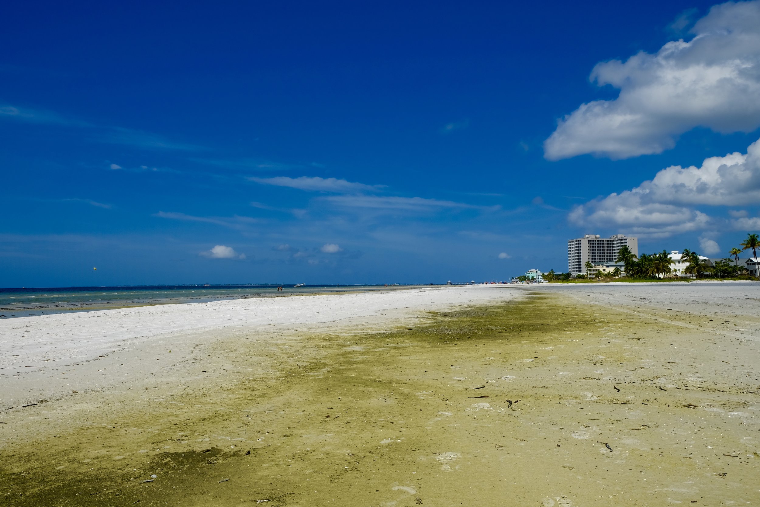 Fort Myers Beach: Green Sand