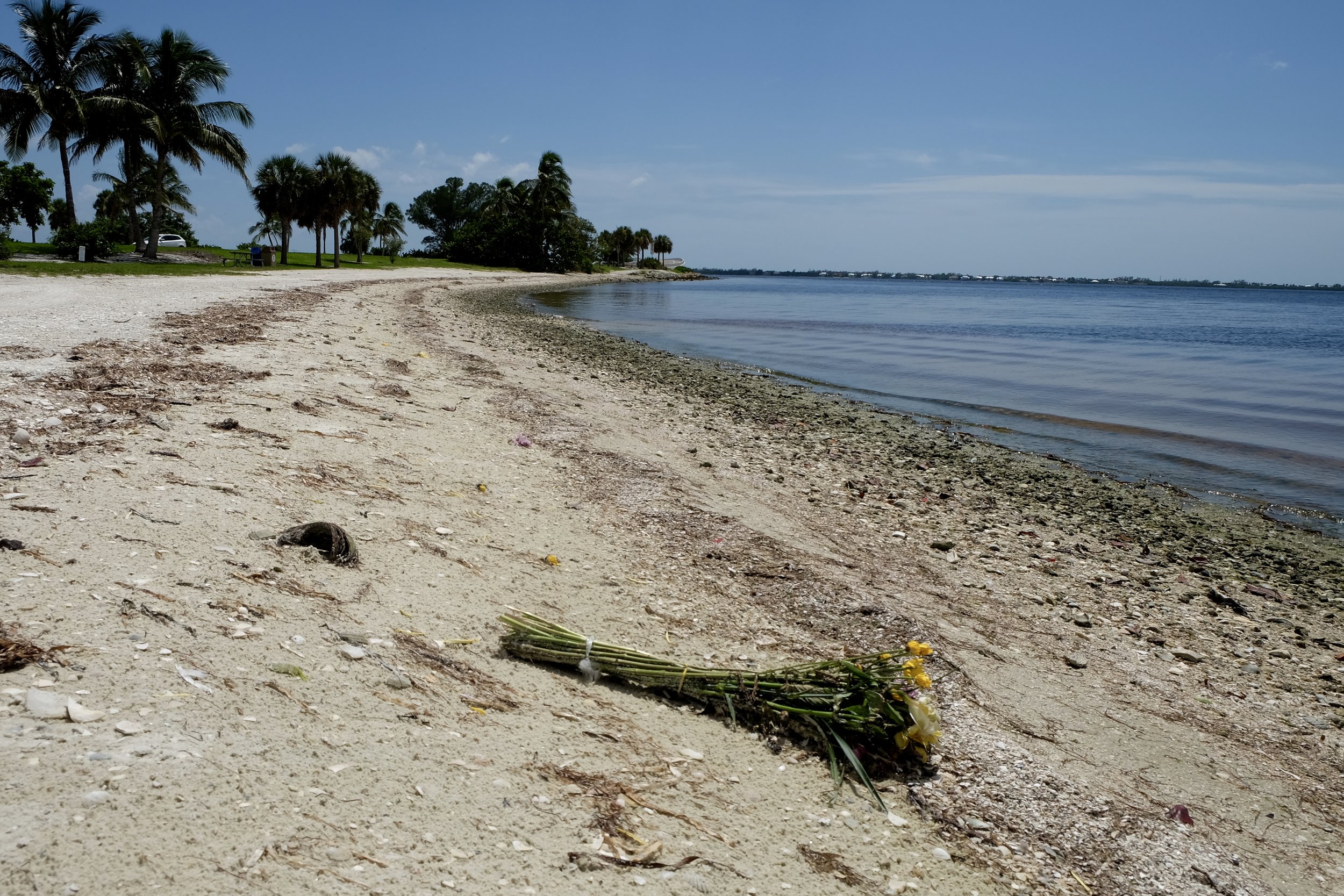 Sanibel Island: Causeway Island Park