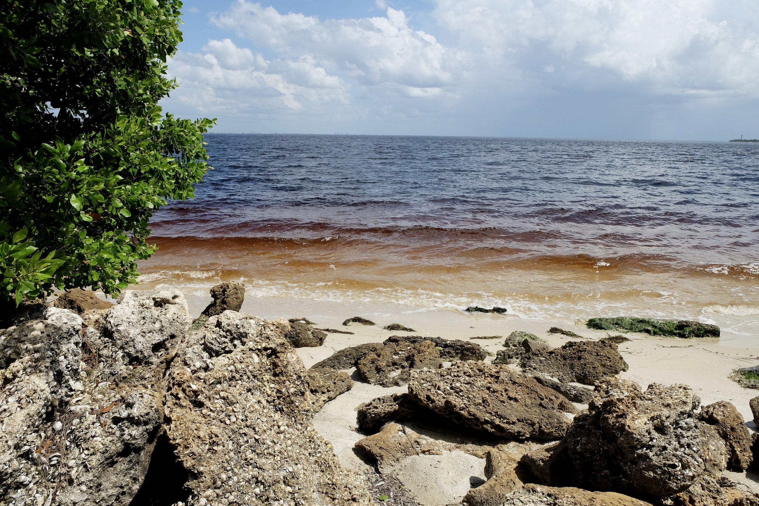 Sanibel Island: Causeway Island Park