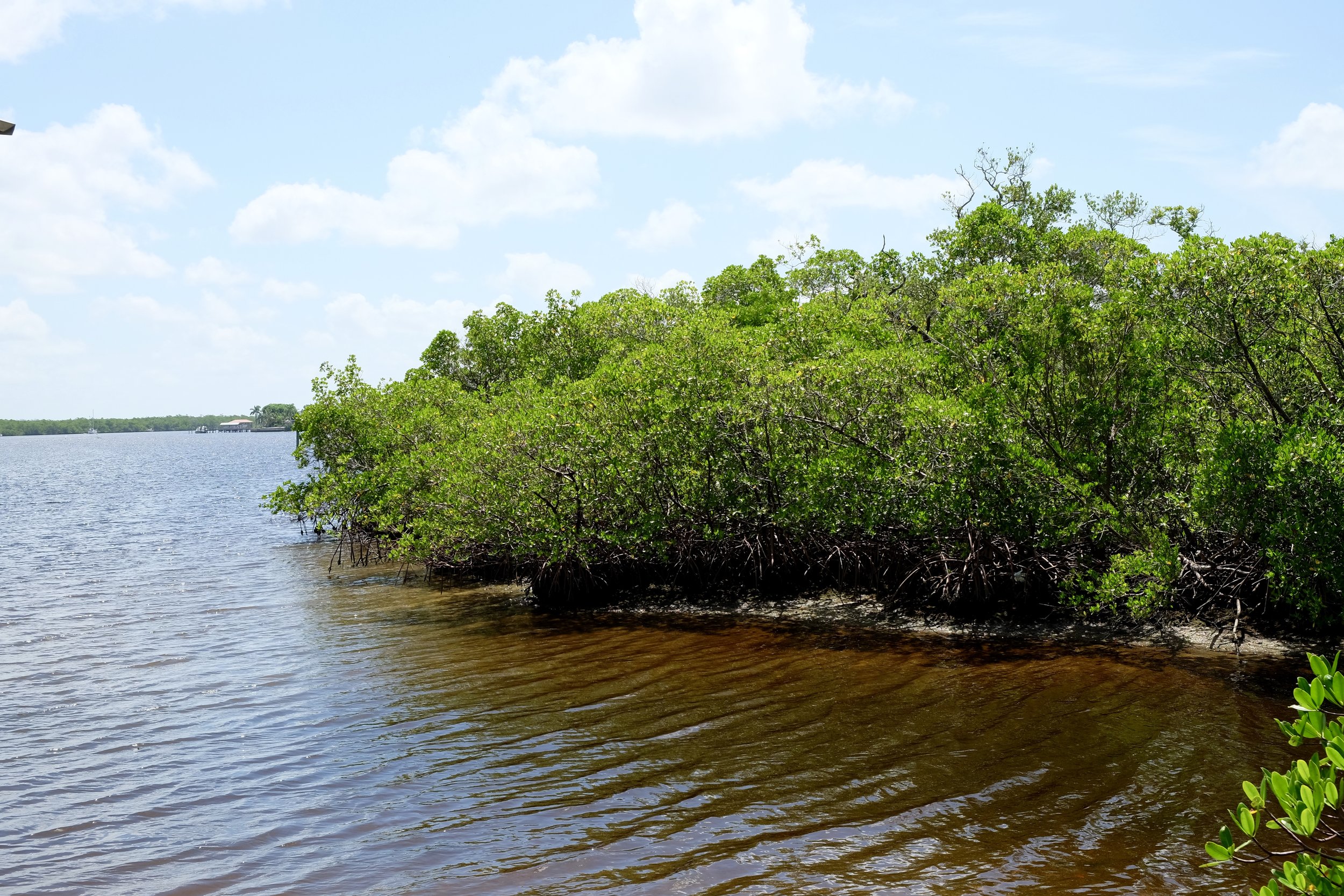 Estero Bay