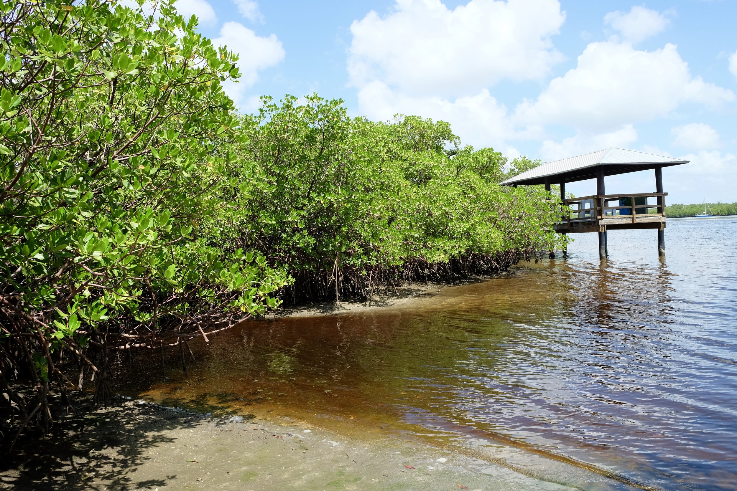 Estero Bay