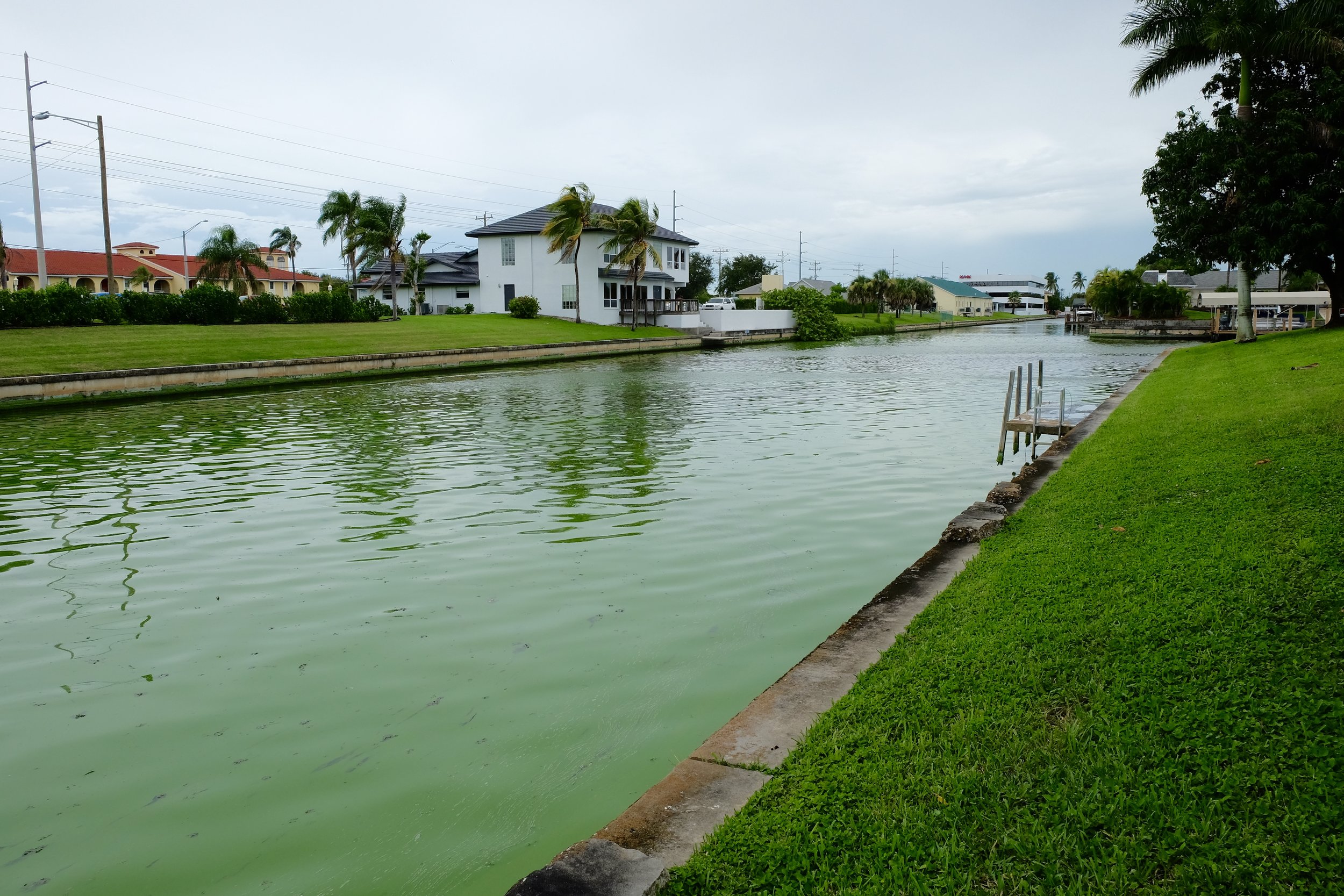 Cape Coral Canals