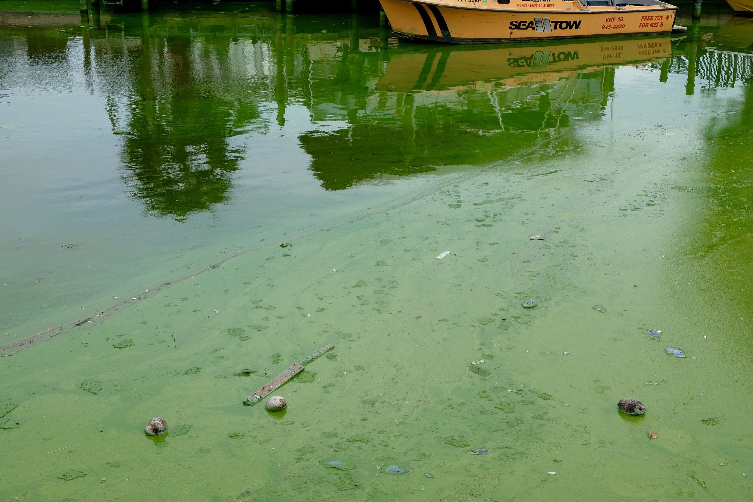 Cape Coral Canals