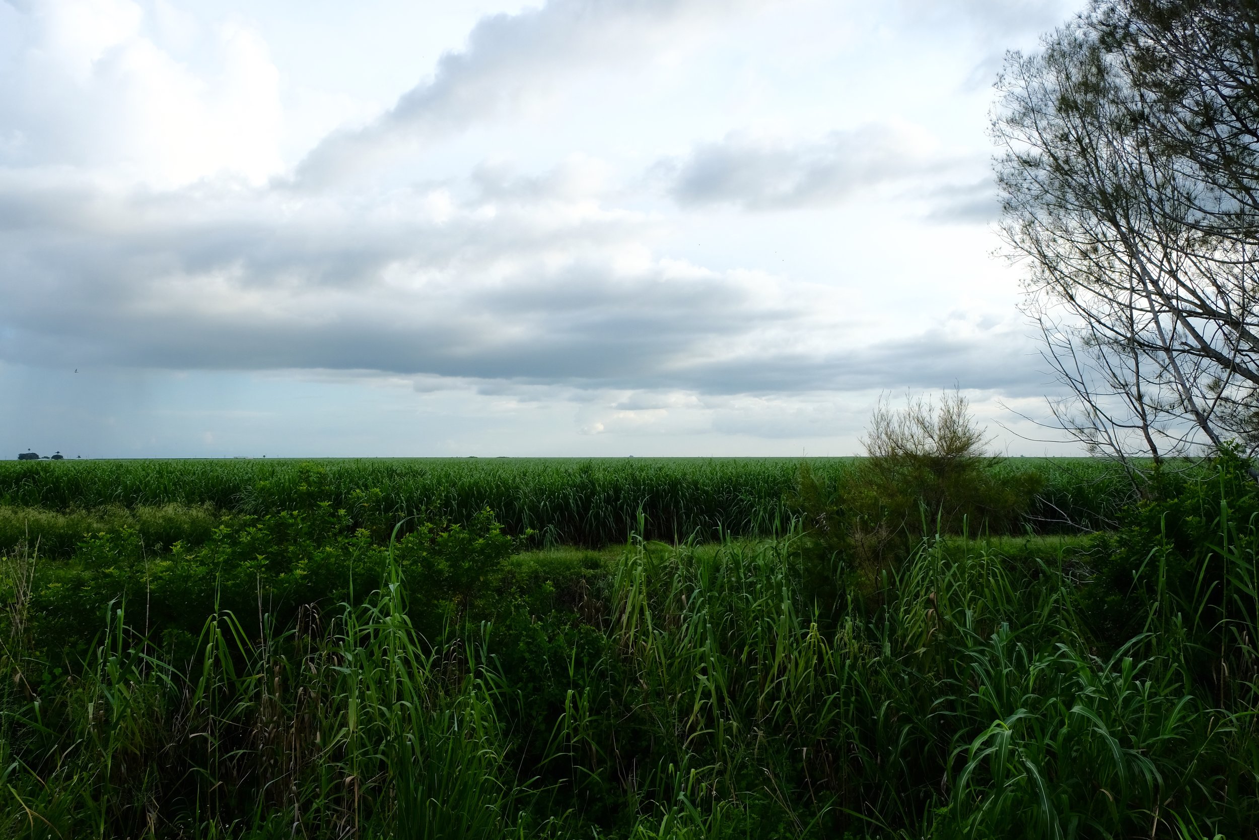 Everglades Agricultural Area