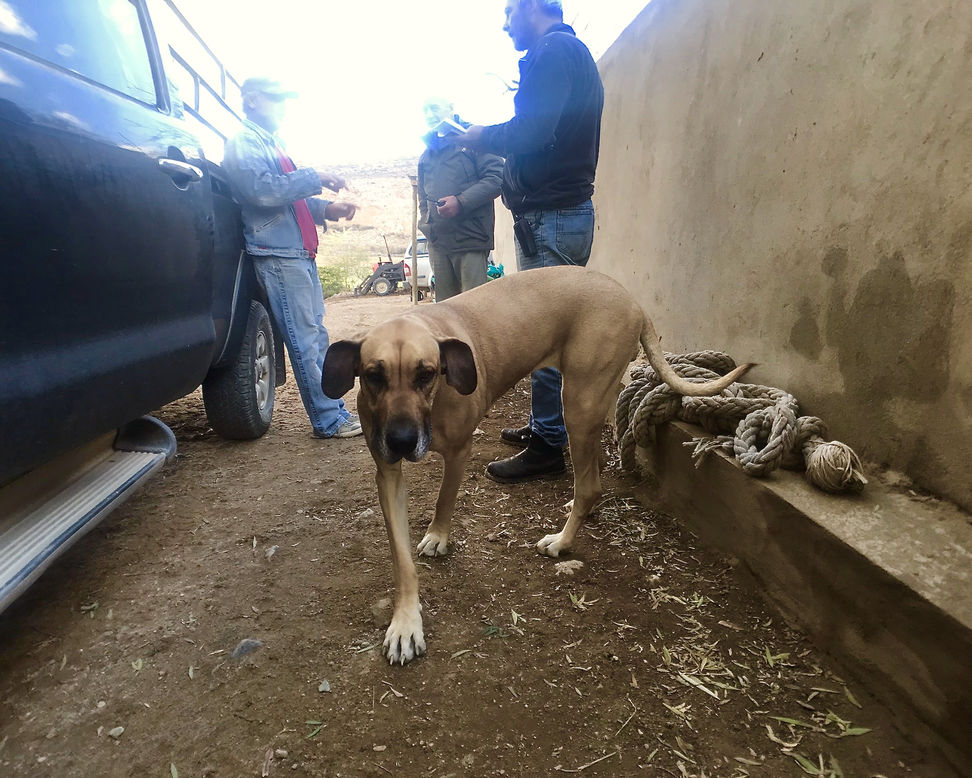 Klein Karoo: Carl's Farm