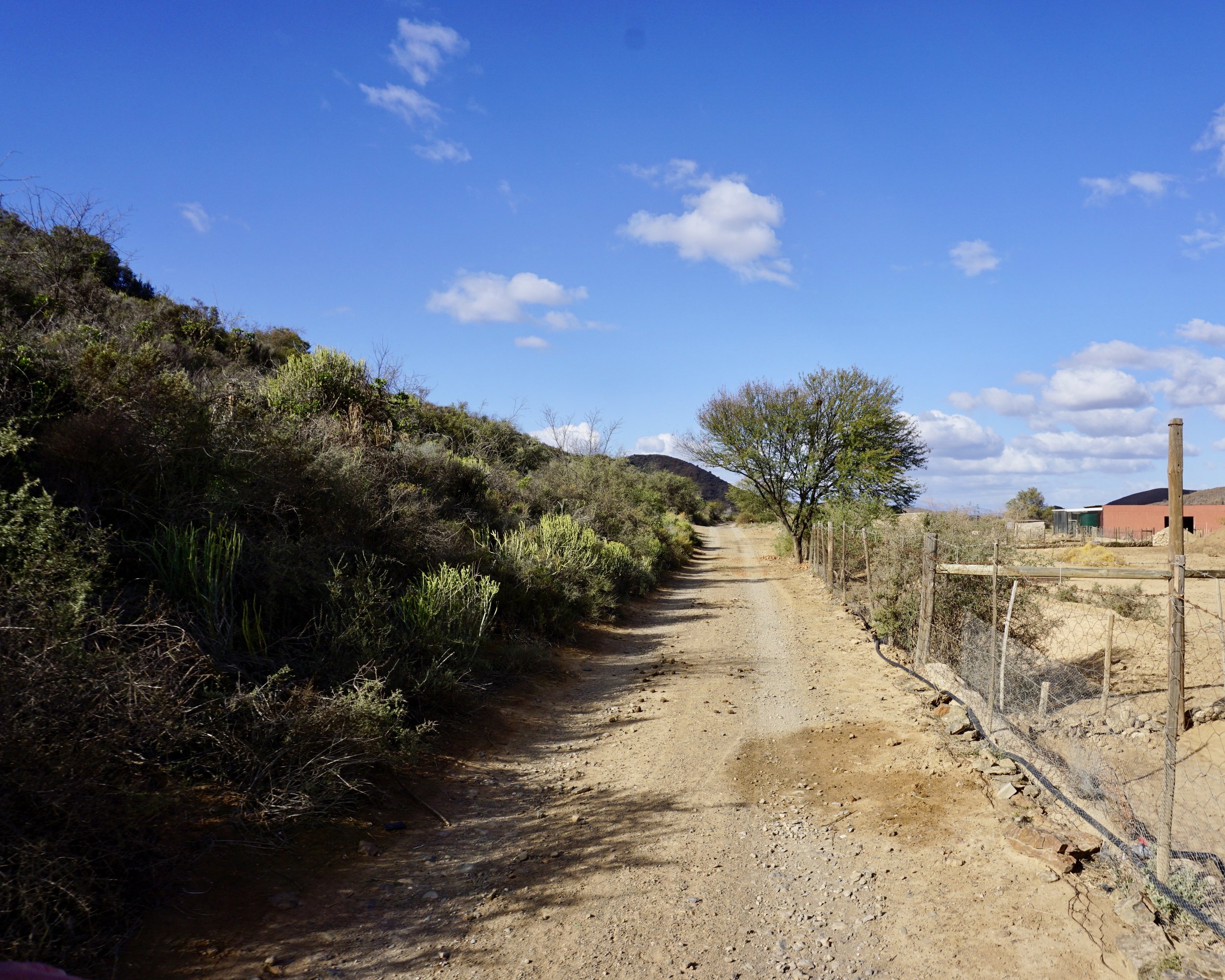 Klein Karoo: Road to Andrew's Farm