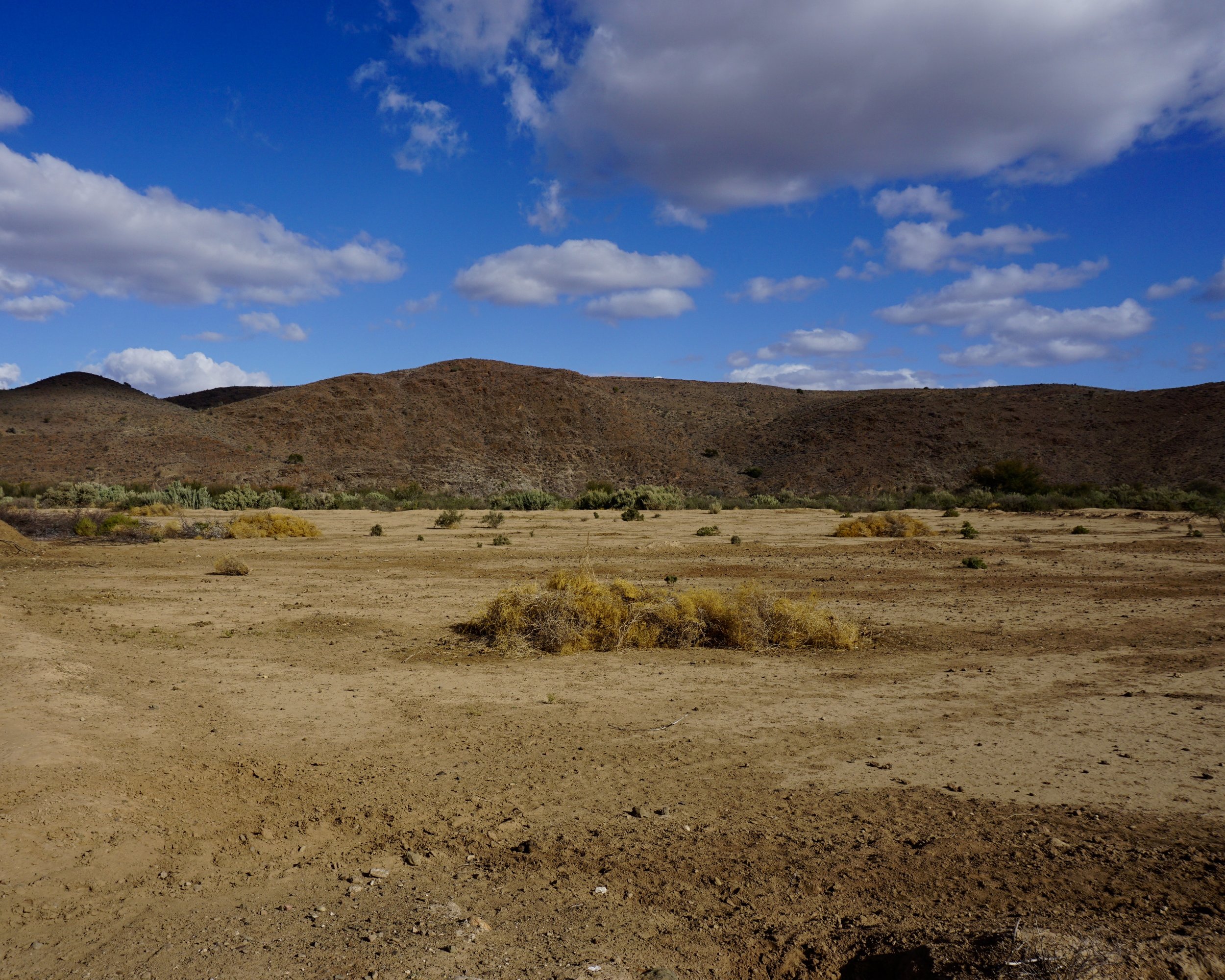 Klein Karoo: Andrew's Fields