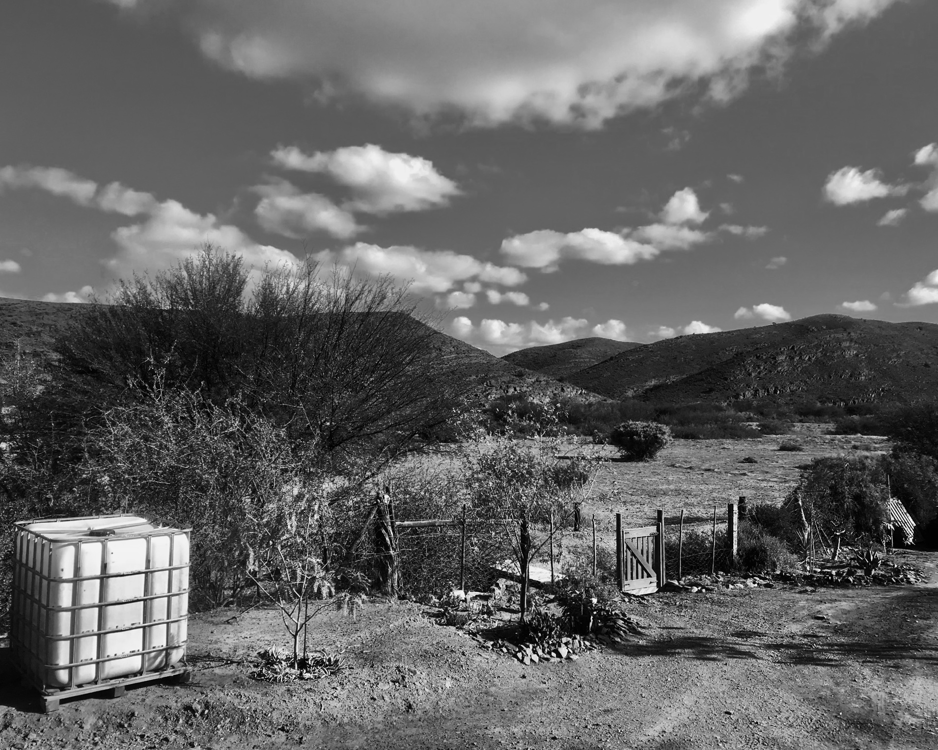 Klain Karoo: Andrew's Fields