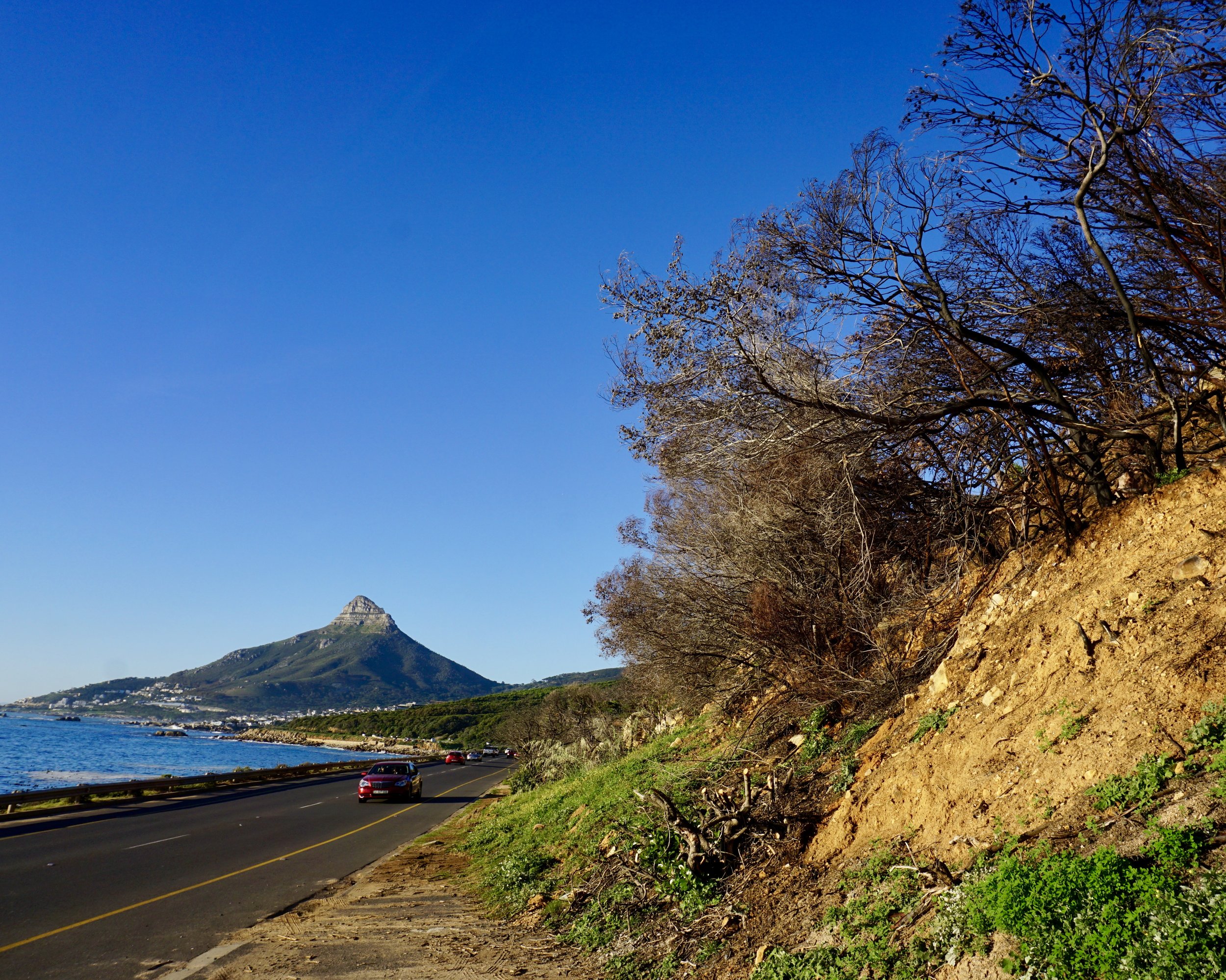 Cape Town: The Coastal Highway