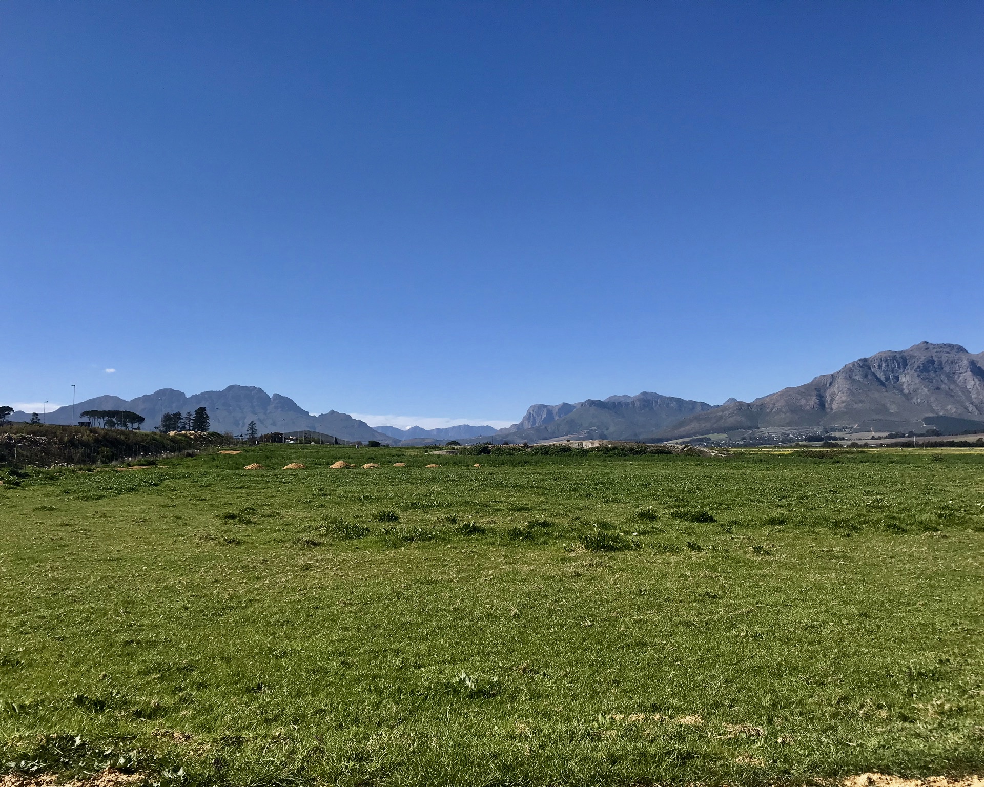 Stellenbosch: Green Fields and Mountains