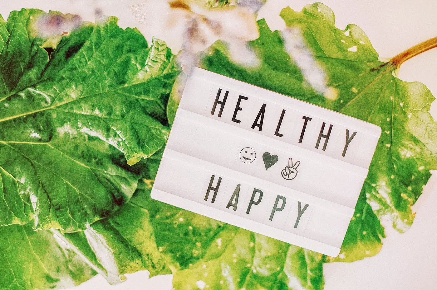 Healthy &amp; happy