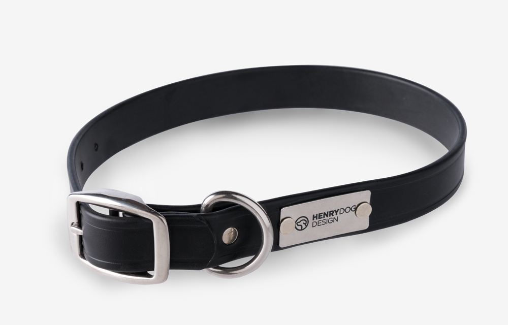 Standard Collar