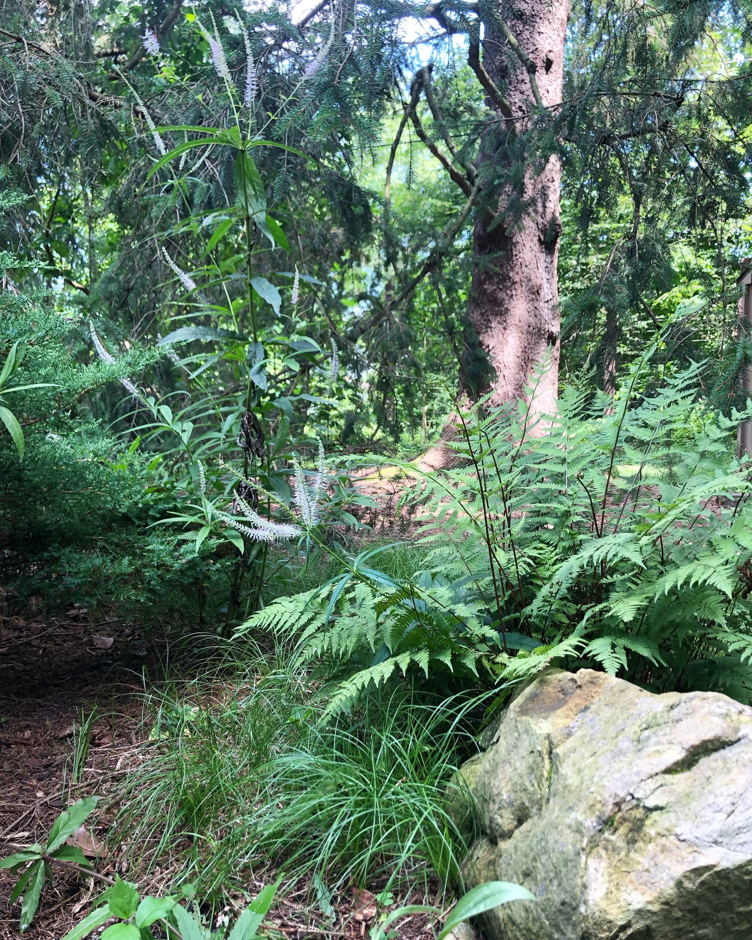 2CA6048F-321C-40DB-85EF-06A05EFC867E (1).jpeg