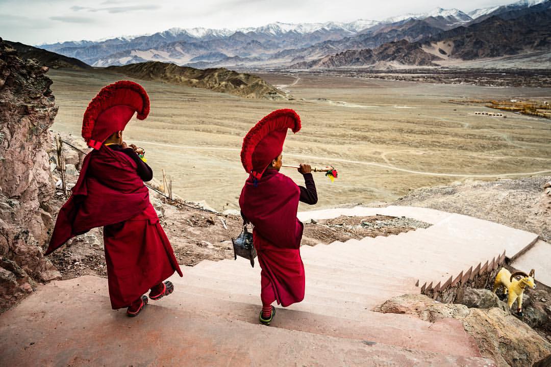 I explored parts of India that I had ever seen before and had some amazing experiences. Young monks blowing horns during a remembrance ceremony on the steps of their monastery in the Ladhak region of India in the Himalayas.