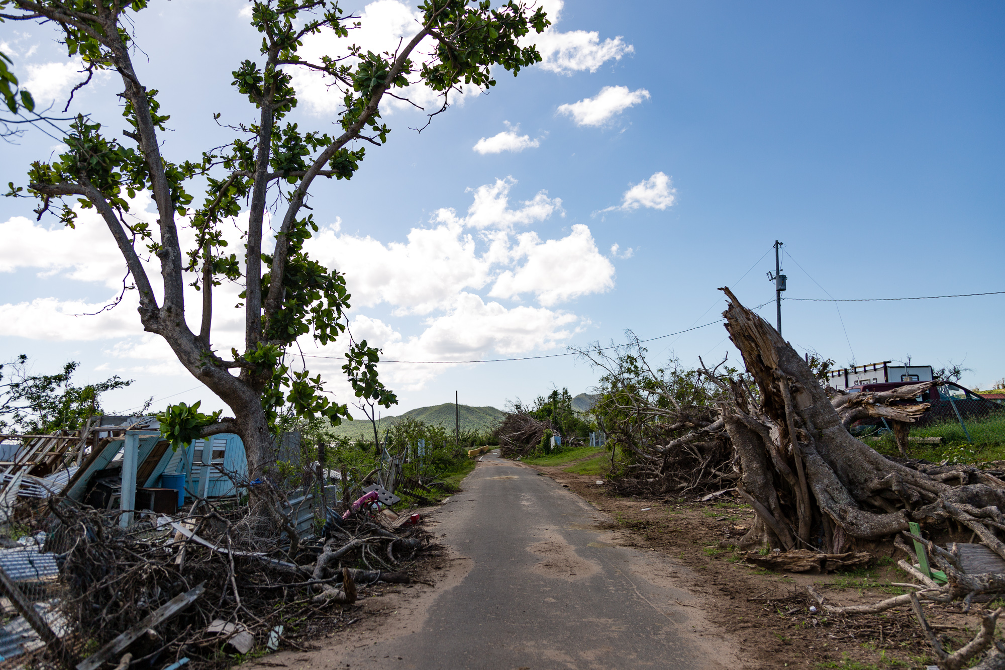 Old trees ripped down and houses destroyed in Vieques, Puerto Rico