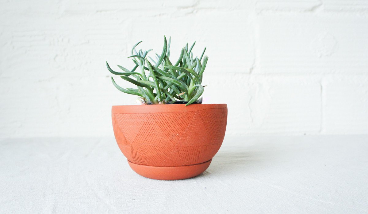 Kati Von Lehman Etched Plant Planter and Base, via Spartan Shop