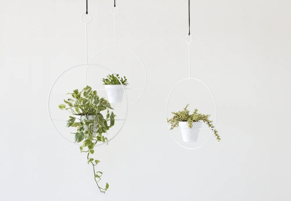 Circle Plant Holder by Sonadora