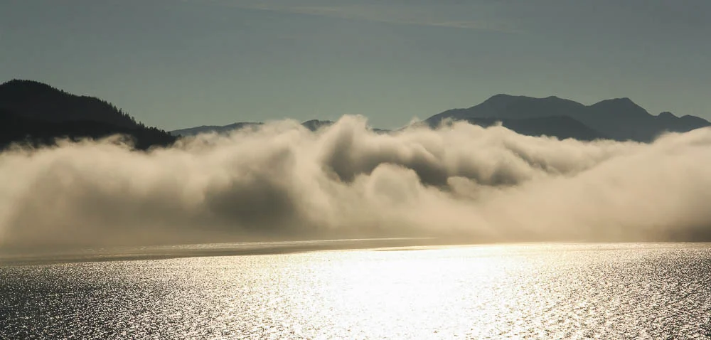 Rising Fog