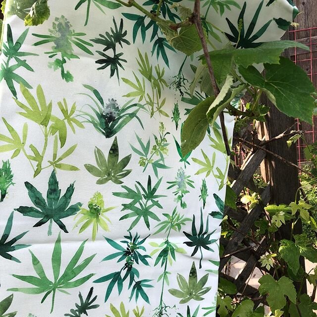 Fabric came in beautifully thanks @spoonflower!  Just made 12 Canna-Bliss dish towels that I put up on my Etsy shop. This miracle plant and the cbd balm that comes from it has really helped my mom&rsquo;s aches and pains!! .
.
.
.
.
#dishtowels #dish