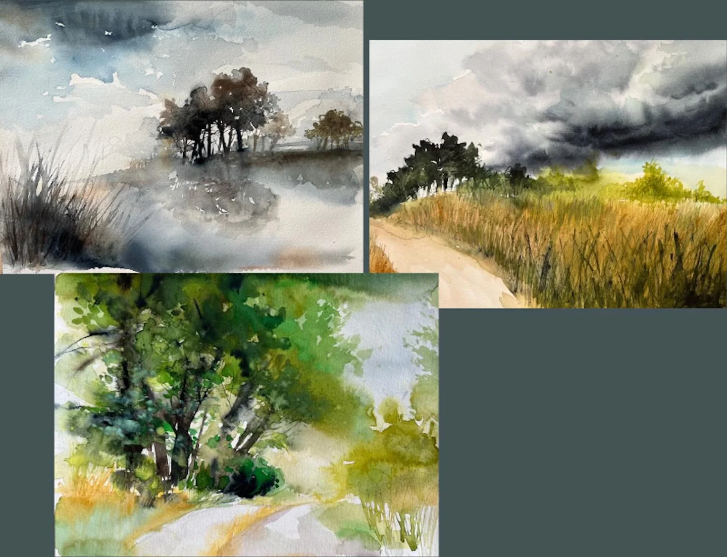 These 3 paintings made it into the Nature with Brushes show with Forest path winning a merit award. It&rsquo;s a really beautiful show held at the art center in Plymouth if you&rsquo;re in the area check it out. 
.
.
.
.
.
#watercolours #watercolor #