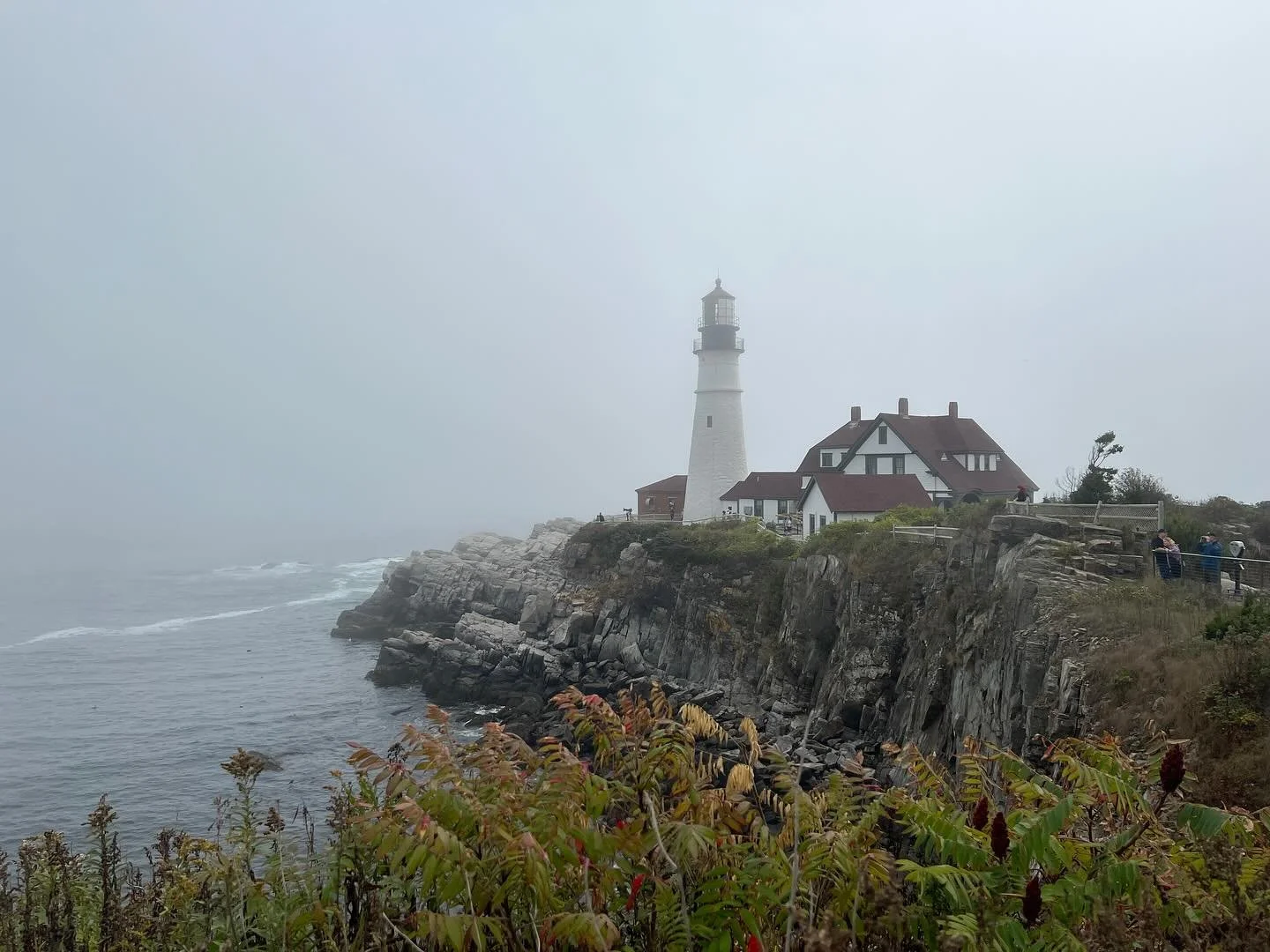 Portland Maine light house 1791
.
.
.
.
.
#maine #mainelife #mainelighthouses #mainelighthouse #ocean #oceana #botanicals #cliffs #cliff #flowerstagram #flowers #newenglandlife #newenglandlife #newenglandliving #newengland #newenglandfall #landscape 