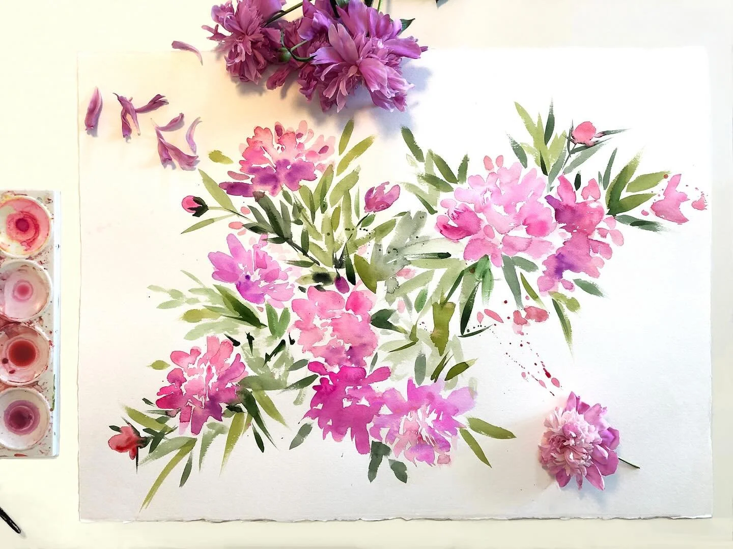 Peonies that I&rsquo;m desperately missing from my old garden. 
.
.
.
.
.
#watercolor #watercolorpainting #danielsmith #danielsmithwatercolors #peonies #dsfloral #ihavethisthingwithpink #pinkflashesofdelight #peoniesaremyfavorite #blooms #bloomseason