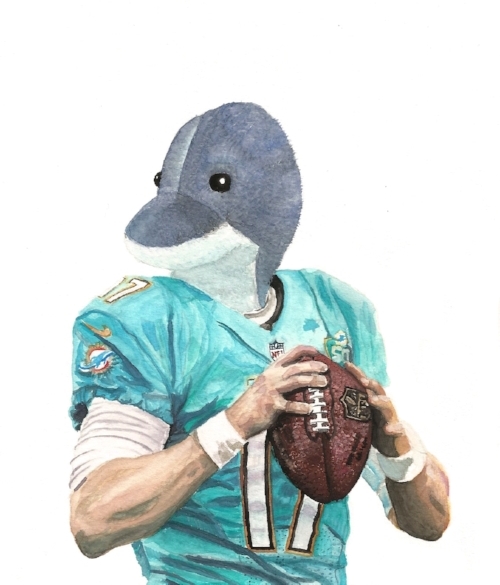 The Dolphins