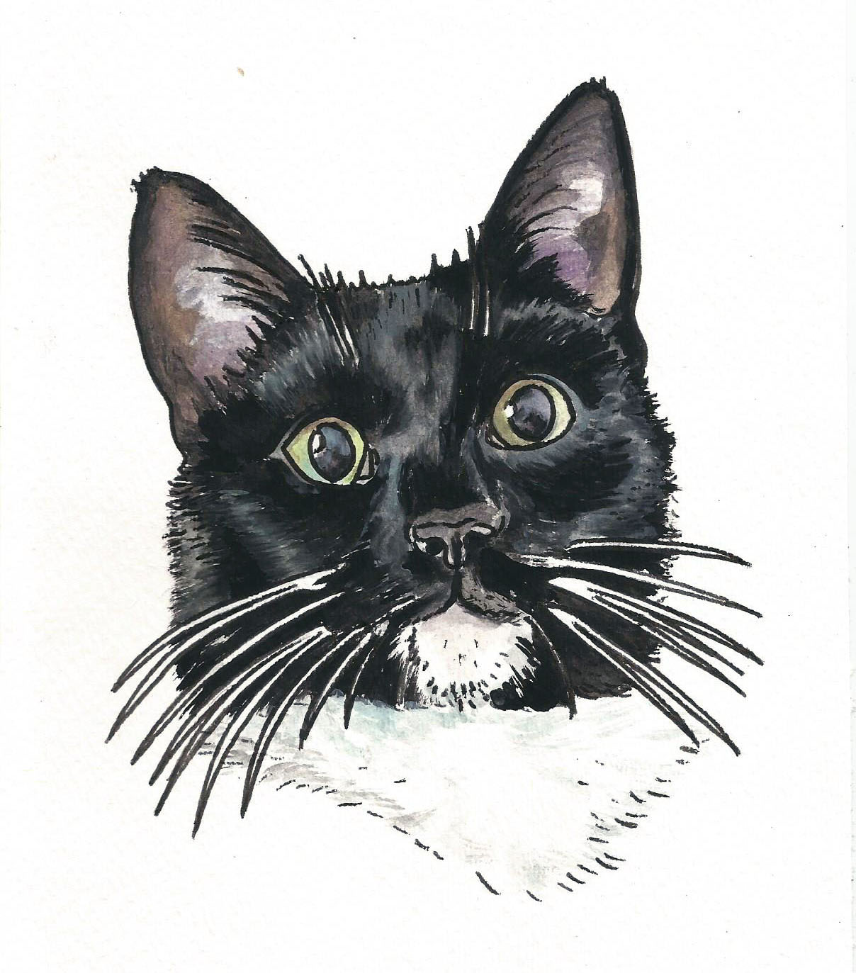 black and white cat.jpeg