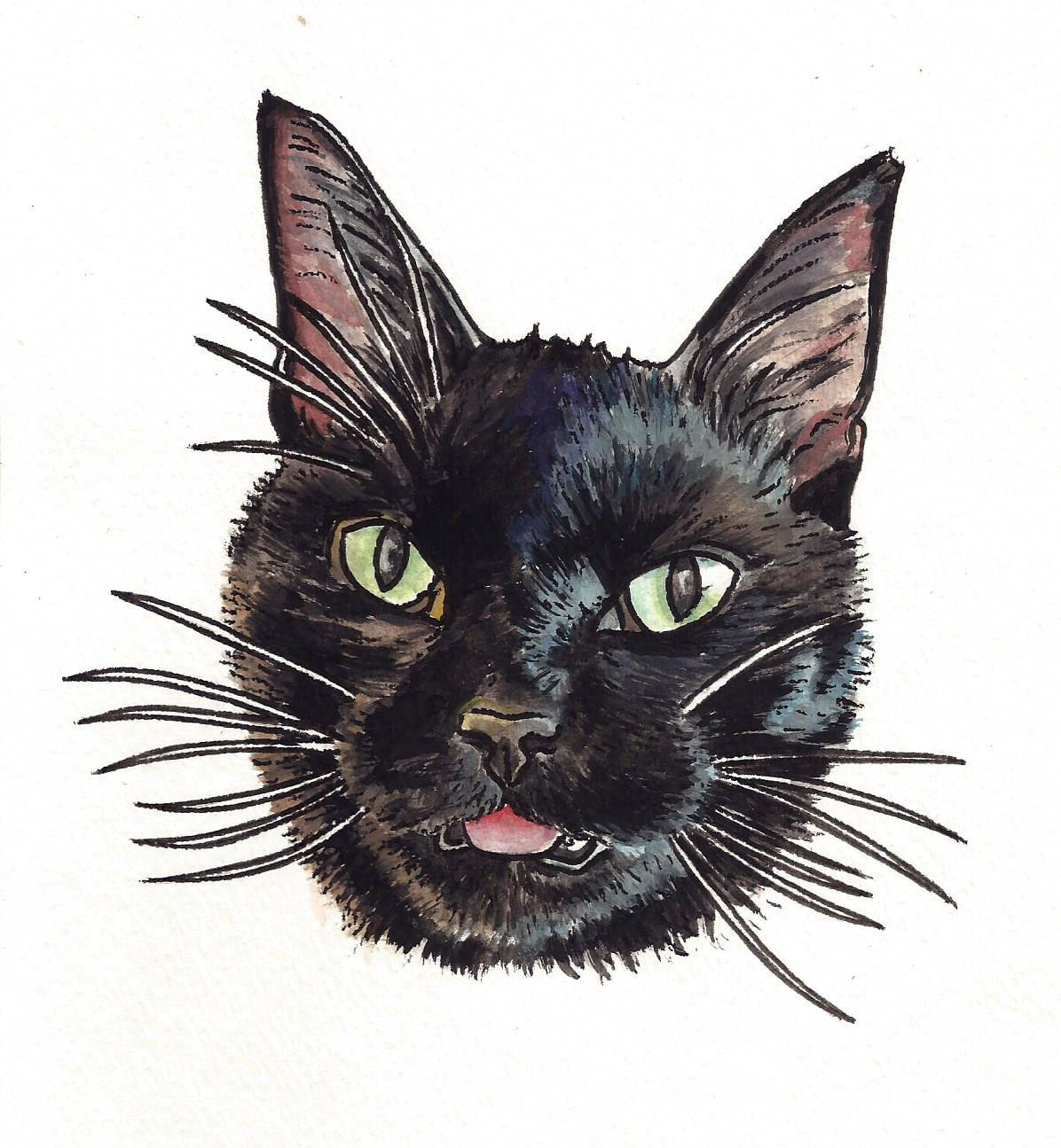 black cat.jpeg