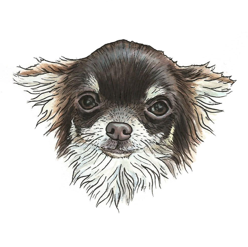 5x7 watercolor, micron