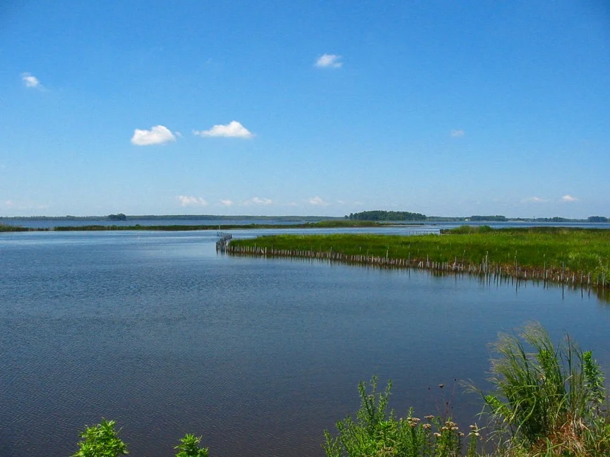 NDC pic blackwater_summer.jpg