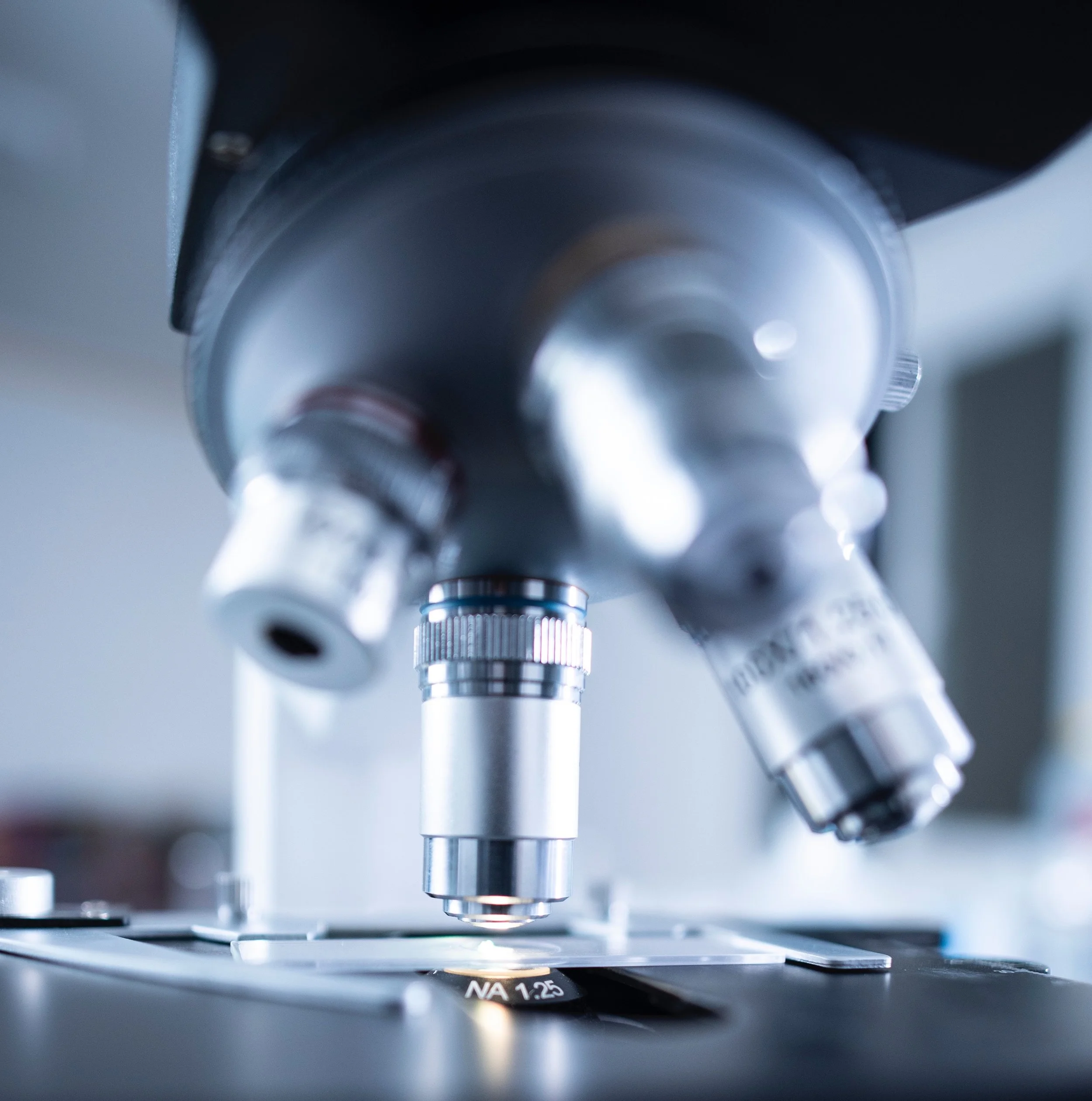 USING THE IMMUNE SYSTEM TO TREAT CANCER