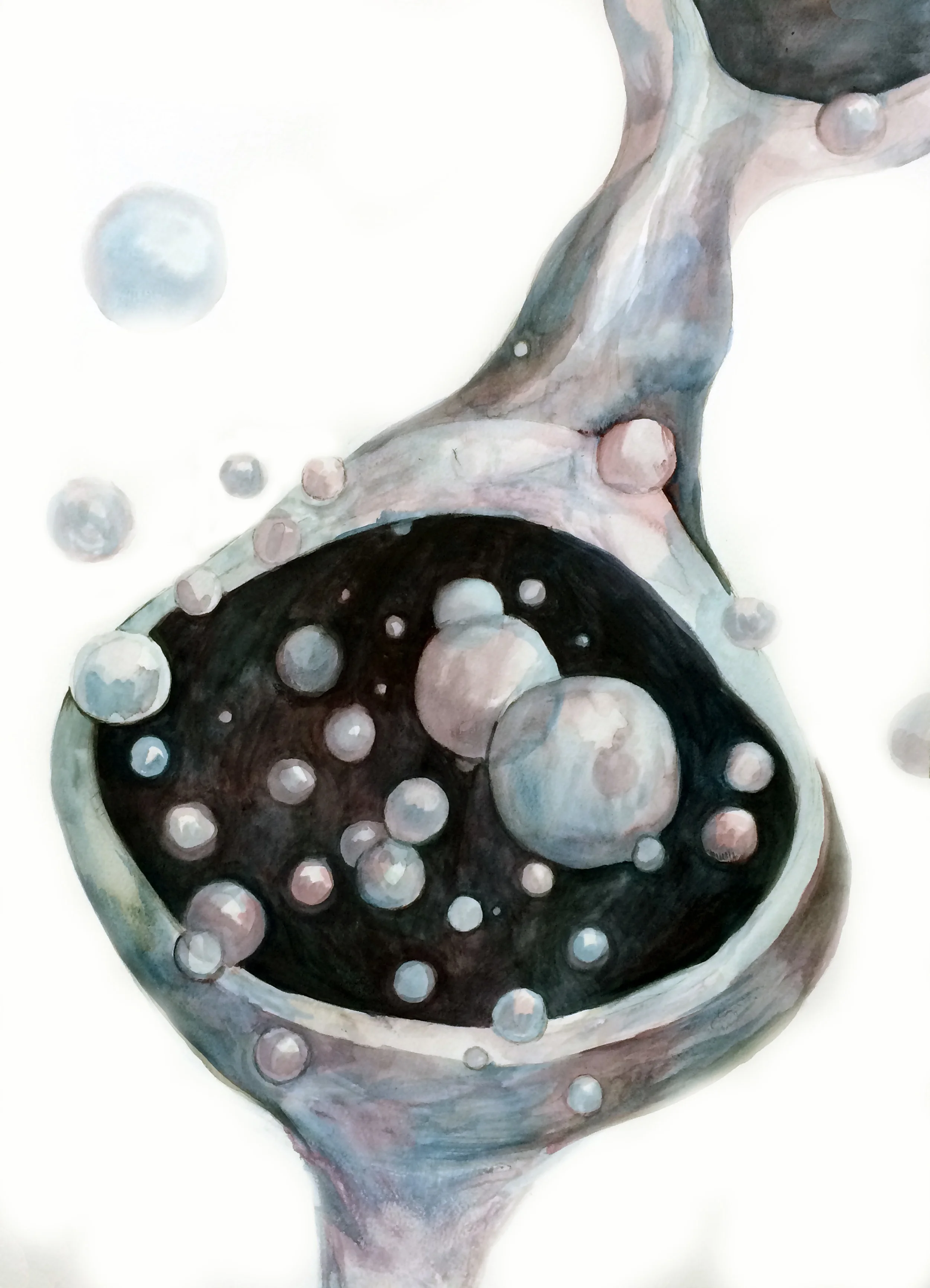Stem