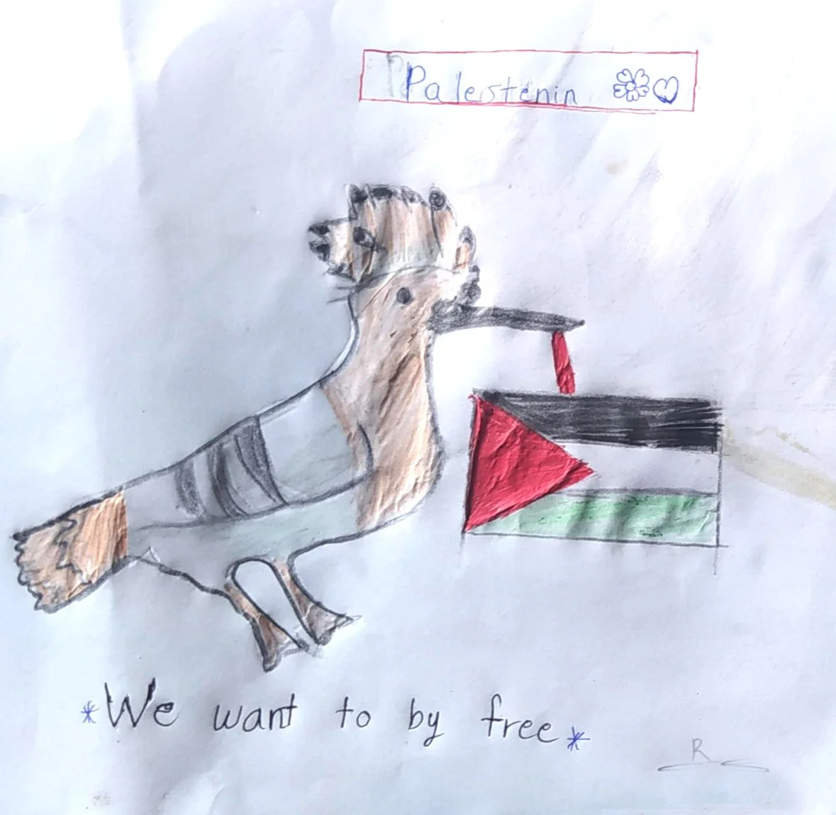 “We just want to be free.”