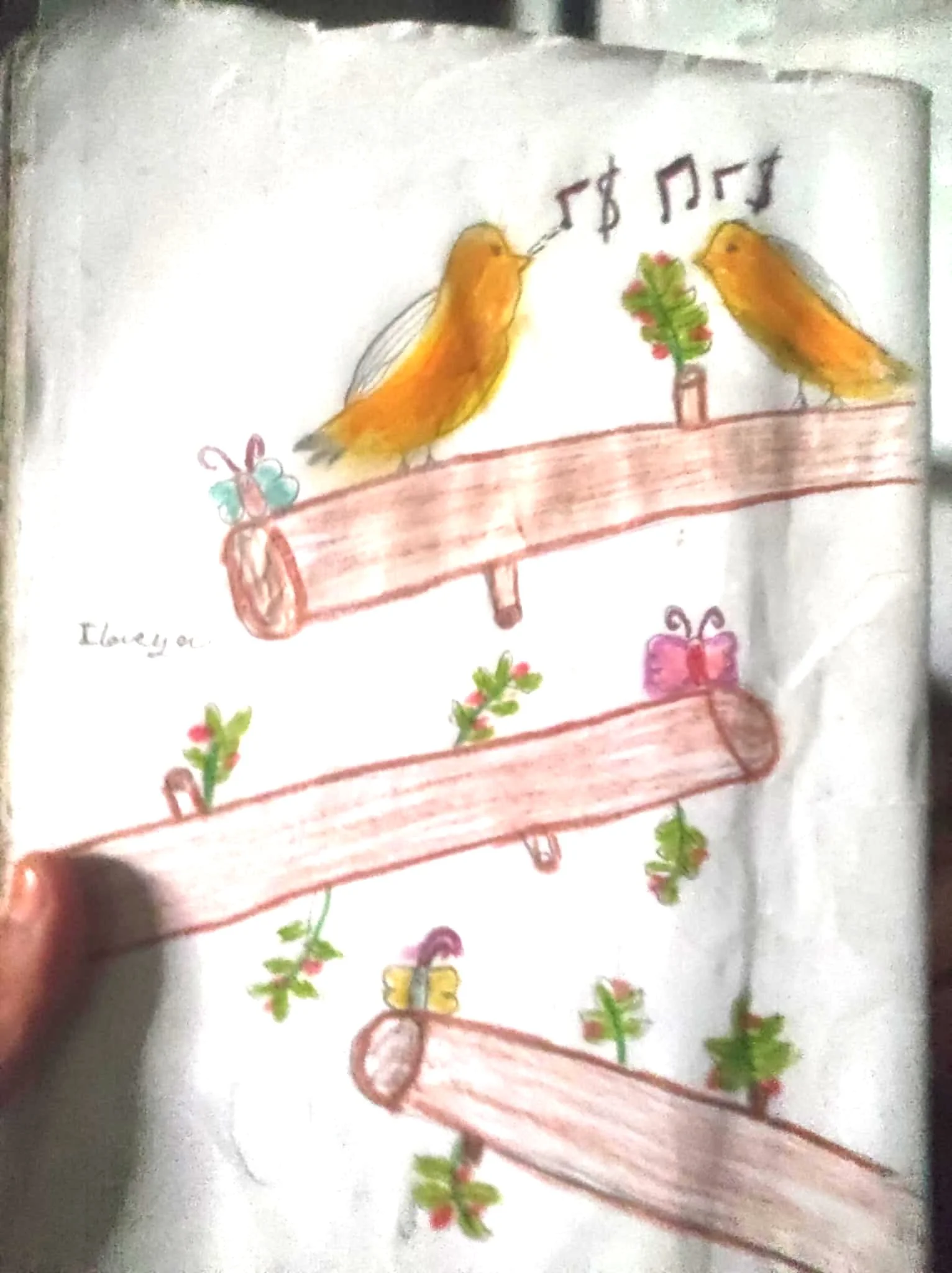 Birds are chirping on tree branches.