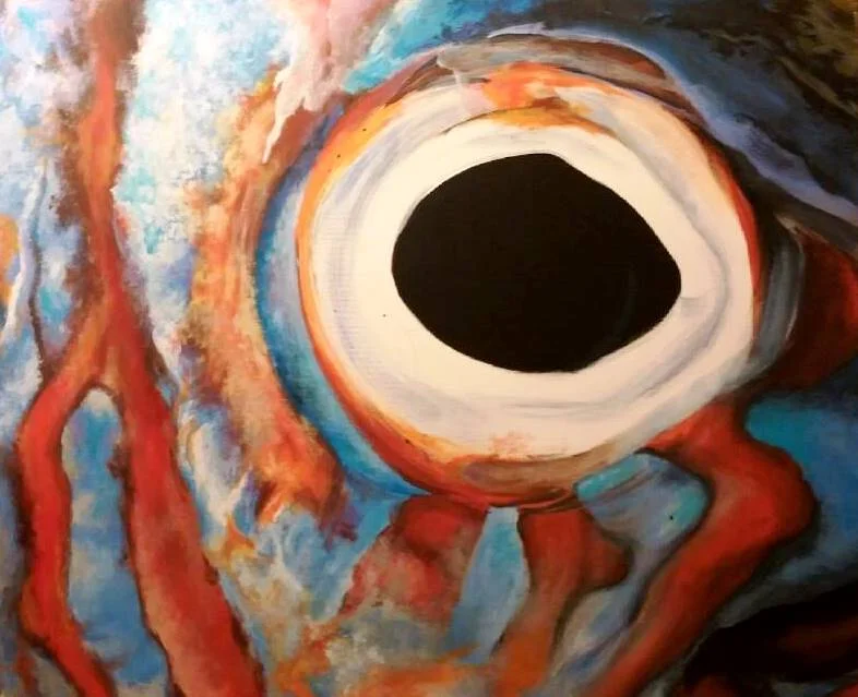 Fish Eye