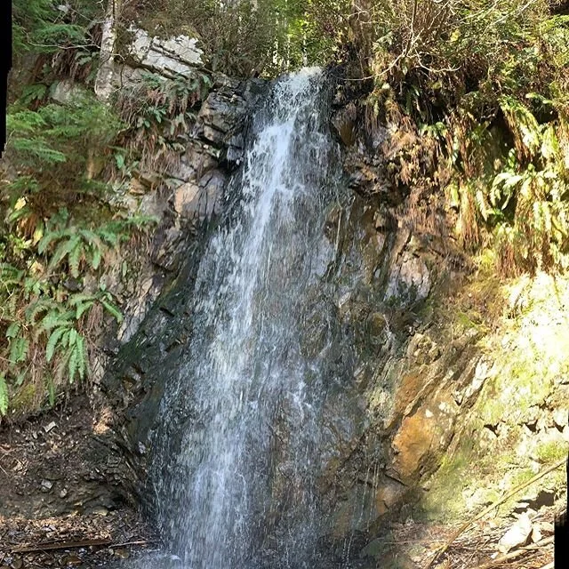 Walking in the woods. #nature