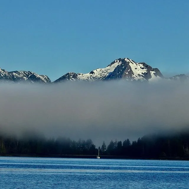 Fog Bank &amp; Sunshine ☀️ Looking forward to Summer. #westcoast