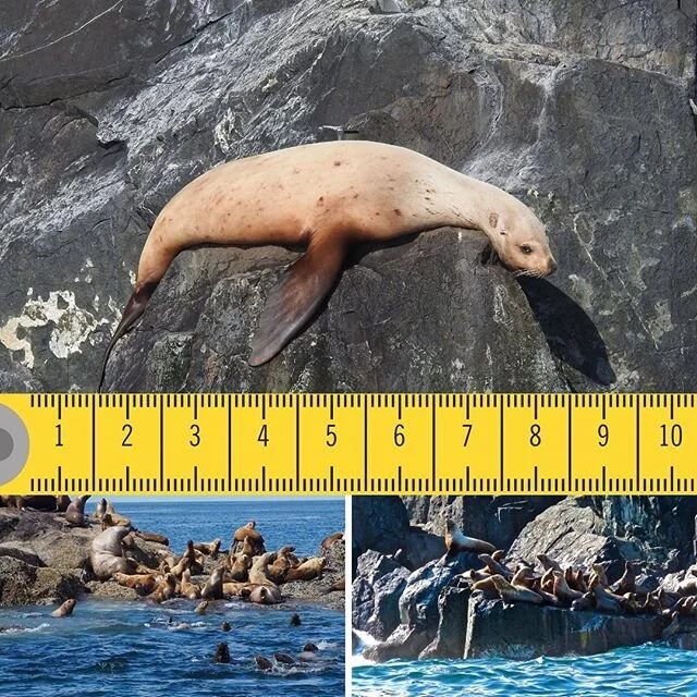 Stay Calm and Carry On. You&rsquo;re not alone. We miss you and hope you can join us in 2021. #staysafeeveryone