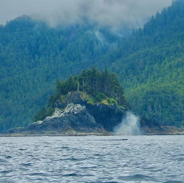 West Coast Adventures. A fun day on the water fishing and enjoying the view. #haidagwaii #whales