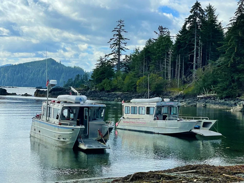 Both HSE vessels.webp