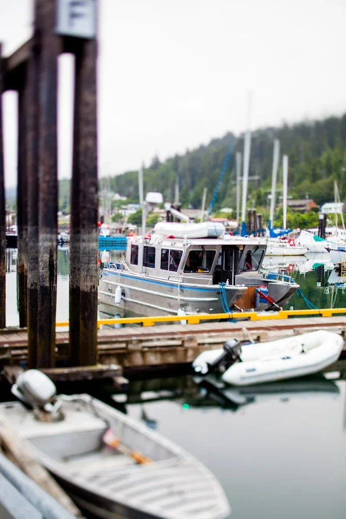 catamaran at the dock.webp