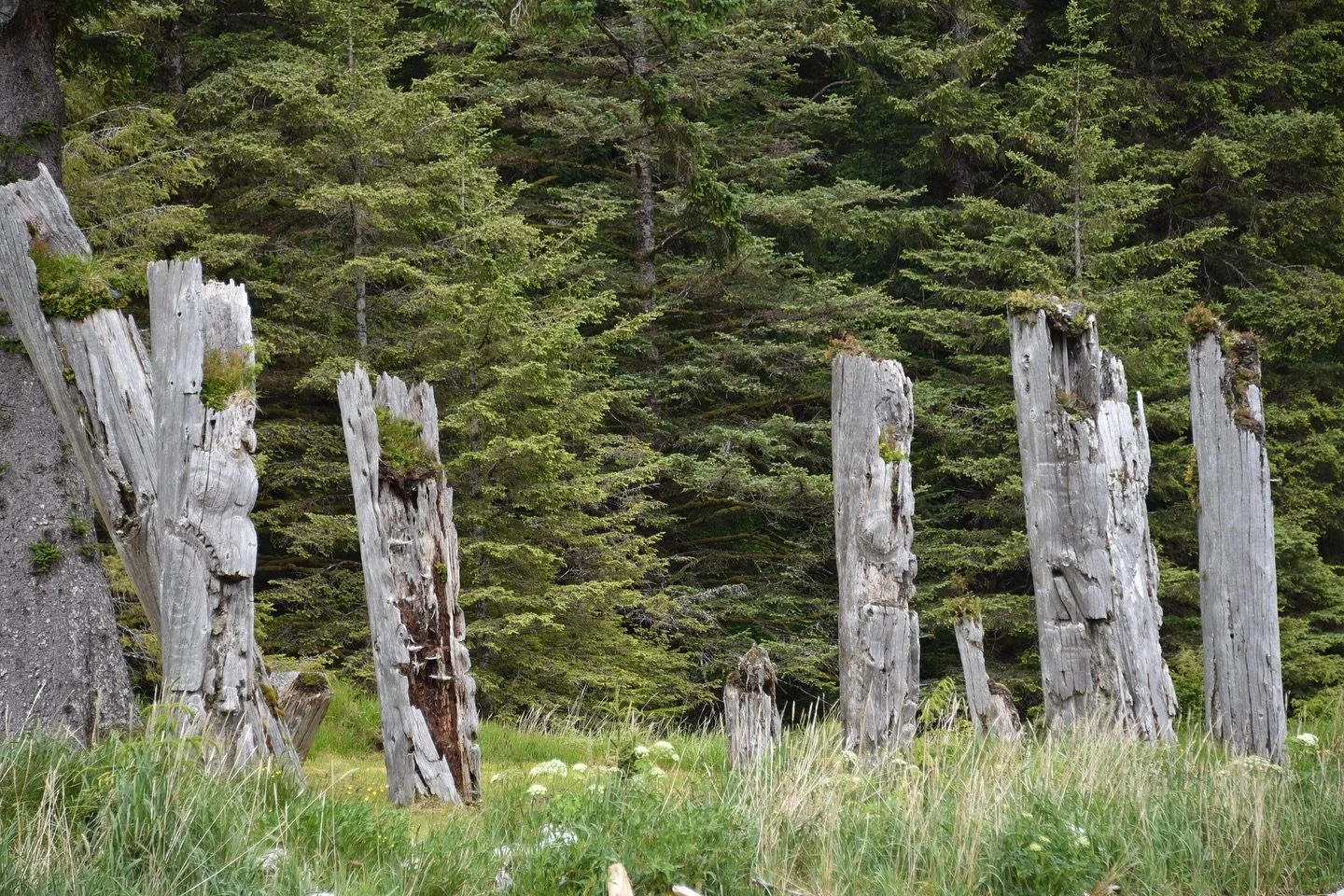 A glimpse at the beautiful SGang Gwaay, the furthest village south that we visit and UNESCO World Heritage Site. Take a moment to soak in the unique landscapes and stories captured. Photo credits to Roberta Aiken. #travelnorthernbc #itbc #gwaiihaanas