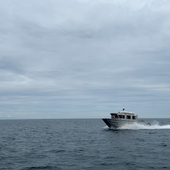 Our fleet in action ⚓️ Say hello to the Melissa June our Catamaran, and Tluu our Landing Craft. We welcome you to visit our website and discover what makes each vessel unique. #haidagwaii #ExploreBC #IndigenousBC #travelnorthernbc #culture