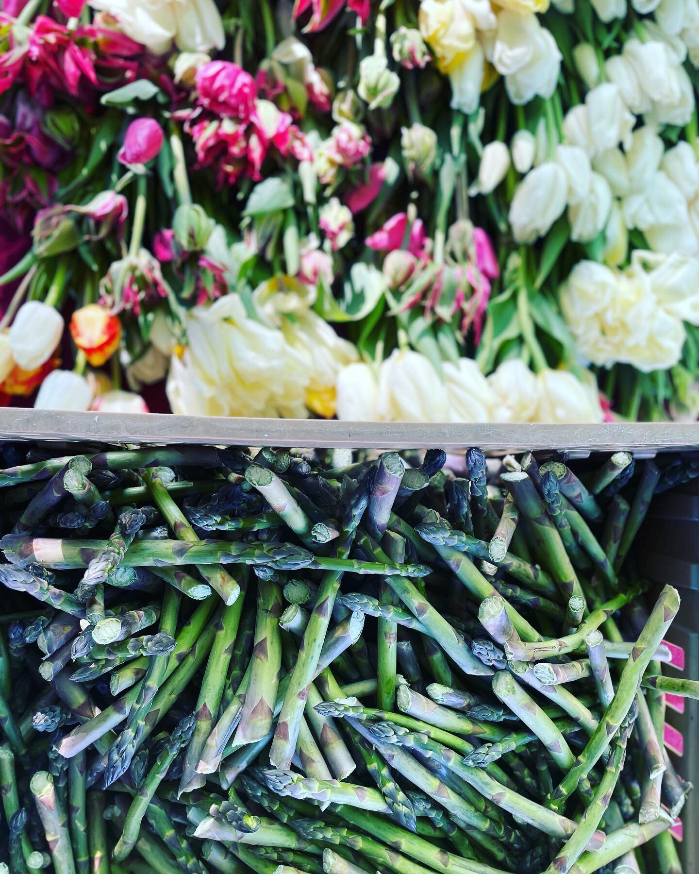 We are back outside at the Hope Street Market! @hopestreetmarket  we are so happy to get some fresh air! Some new things like jumbo spring onions and carrot bunches! Come say hi and check all the new vendors ❤️