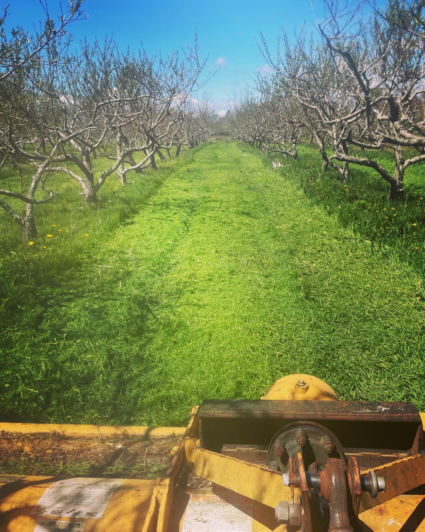 As you all might have heard&hellip; New England peach orchards took a big hit last winter when the temperature dropped down well below 0 degrees&hellip; spring buds were just starting to emerge when this happened and from buds come flowers and from f