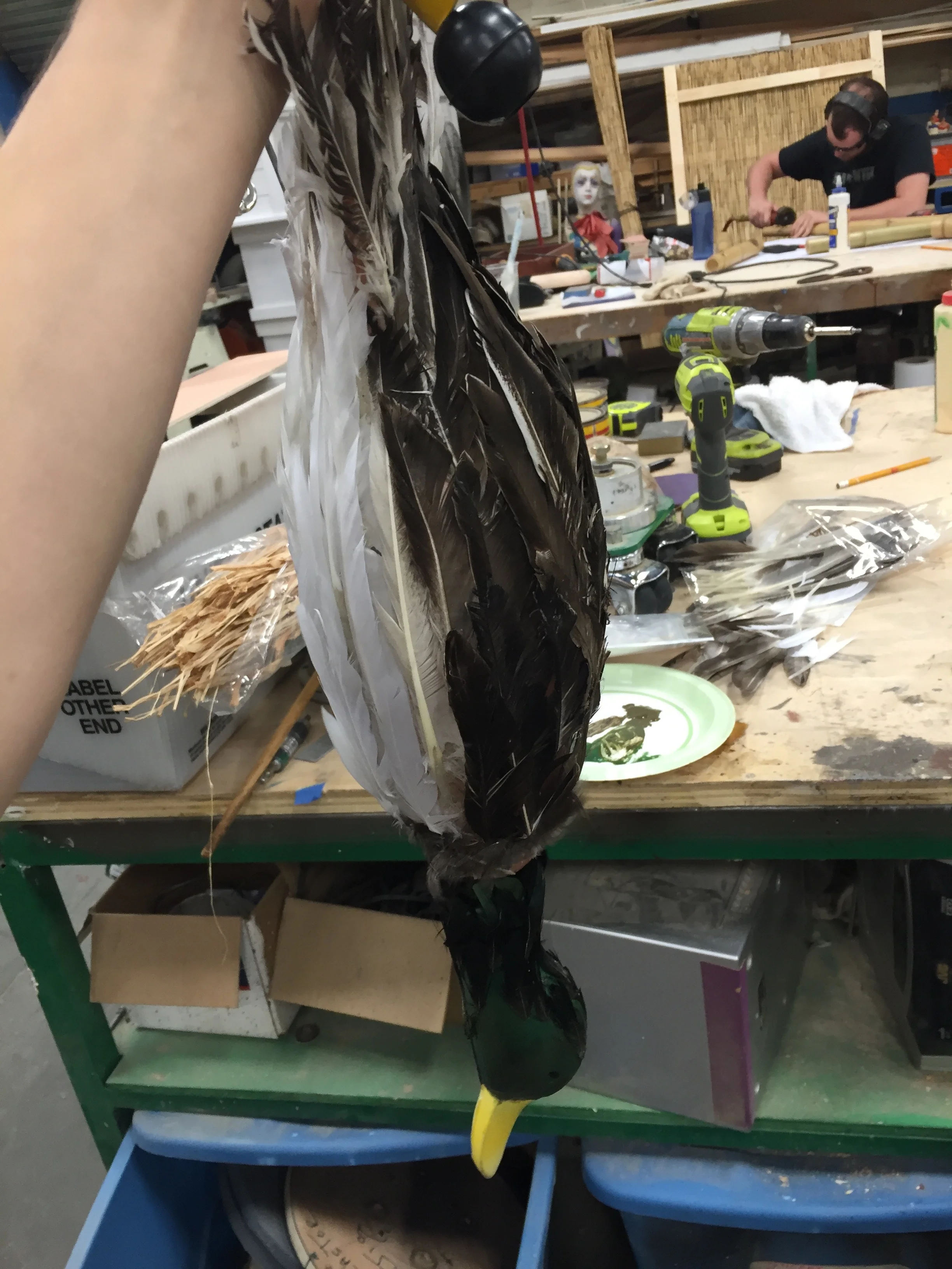 Gaston's Dead Duck for the Walnut Street Theater's children's production of Beauty and the Beast . Made with a Remmington mallard foam trainer and craft feathers. 