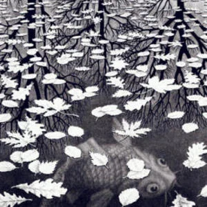 mc escher.jpeg